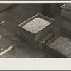 Boxes of peas after being separated from pods at pea vinery near Sun Prairie, Wisconsin