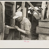 Man recording quantities of pea vines delivered to vinery, near Sun Prairie, Wisconsin