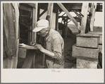 Man recording quantities of pea vines delivered to vinery, near Sun Prairie, Wisconsin