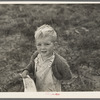 Child of cut-over farmer near Little Fork [i.e. Littlefork], Minnesota