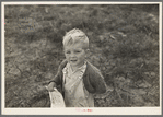 Child of cut-over farmer near Little Fork [i.e. Littlefork], Minnesota