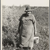 Indian blueberry picker, near Little Fork [i.e. Littlefork], Minnesota