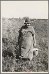 Indian blueberry picker, near Little Fork [i.e. Littlefork], Minnesota