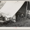 Indian tent in blueberry pickers' camp near Little Fork [i.e. Littlefork], Minnesota