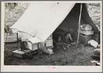 Indian tent in blueberry pickers' camp near Little Fork [i.e. Littlefork], Minnesota