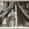 Indian boy in blueberry pickers' camp near Little Fork [i.e. Littlefork], Minnesota