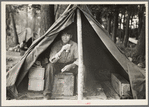 Indian boy in blueberry pickers' camp near Little Fork [i.e. Littlefork], Minnesota