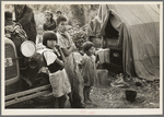 Indian children in camp near Little Fork [i.e. Littlefork], Minnesota