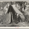 Indian boy in front of tent near Little Fork [i.e. Littlefork], Minnesota