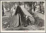 Indian boy in front of tent near Little Fork [i.e. Littlefork], Minnesota