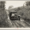 Indians on way to the berry fields near Little Fork [i.e. Littlefork], Minnesota