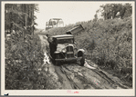 Indians on way to the berry fields near Little Fork [i.e. Littlefork], Minnesota