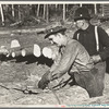 Lumberjack adjusting loading chain around log at camp near Effie, Minnesota