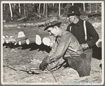 Lumberjack adjusting loading chain around log at camp near Effie, Minnesota