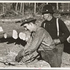 Lumberjack adjusting loading chain around log at camp near Effie, Minnesota