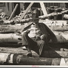 Lumberjack resting on pile of logs, near Effie, Minnesota