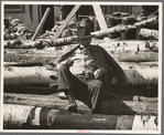 Lumberjack resting on pile of logs, near Effie, Minnesota