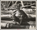 Lumberjack resting on pile of logs, near Effie, Minnesota