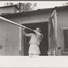 Camp cook blowing dinner horn, at camp near Effie, Minnesota