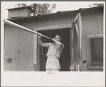 Camp cook blowing dinner horn, at camp near Effie, Minnesota