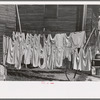 Clothesline, Winton, Minnesota