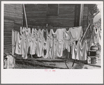 Clothesline, Winton, Minnesota