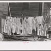 Clothesline, Winton, Minnesota