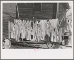 Clothesline, Winton, Minnesota