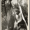 William Besson shaking his iron drill to dislodge particles of structure from the bottom of it near Winton, Minnesota