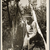 William Besson shaking his iron drill to dislodge particles of structure from the bottom of it near Winton, Minnesota