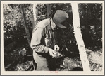 William Besson with a dip needle, near Winton, Minnesota