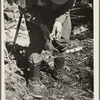 William Besson using a dip needle, near Winton, Minnesota