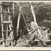 William Besson in the process of "drilling" near Winton, Minnesota