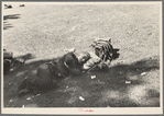 Transient laborer resting, Gateway District, Minneapolis, Minnesota