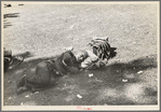 Transient laborer resting, Gateway District, Minneapolis, Minnesota