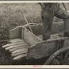 Detail of wagon on cut-over farm, near Gheen, Minnesota