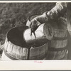 Filling barrels with spring water to be used on his farmstead, Herman Gerling. Wheelock, North Dakota