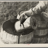 Filling barrels with spring water to be used on his farmstead, Herman Gerling. Wheelock, North Dakota