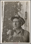 Mr. Tronson, farmer near Wheelock, North Dakota