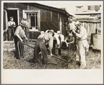 Men taking bed apart at S.W. Sparlin auction sale, Orth, Minnesota