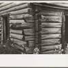 Detail of log cabin, near Gheen, Minnesota