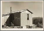 House on the Tronson farm. Truax Township, Williams County, North Dakota