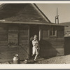 Williston (vicinity), North Dakota. Children of Floyd Peaches, farmer