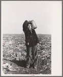 Mexican boy water carrier in beet field near East Grand Forks, Minnesota