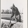 Worker scraping dirt from hopper of unloading machine at sugar beet factory, East Grand Forks, Minnesota