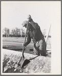 Worker scraping dirt from hopper of unloading machine at sugar beet factory, East Grand Forks, Minnesota