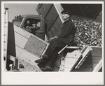 Picking up and piling sugar beets before topping them near East Grand Forks, Minnesota