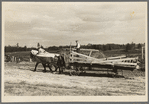 Horses and haywagon on farm near Northome, Minnesota