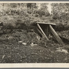 Old root cellar on farm near Northome, Minnesota