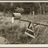 Mail box of cut-over farm, near Northome, Minnesota